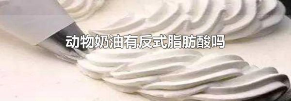 动物奶油有反式脂肪酸吗