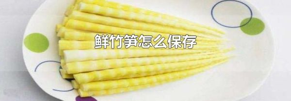 鲜竹笋怎么保存