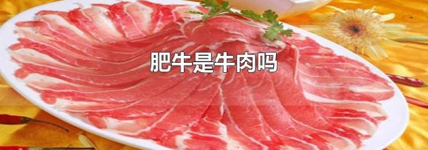 肥牛是牛肉吗