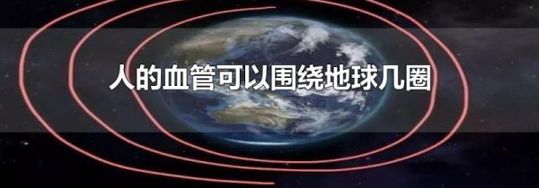 人的血管可以围绕地球几圈