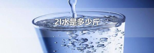 2l水是多少斤