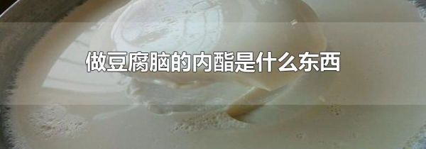 做豆腐脑的内酯是什么东西