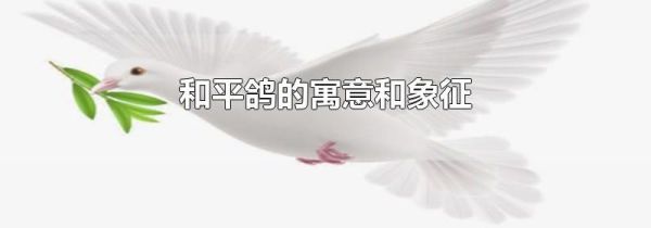 和平鸽的寓意和象征