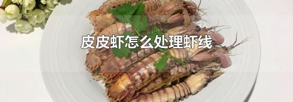皮皮虾怎么处理虾线