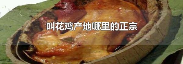 叫花鸡产地哪里的正宗