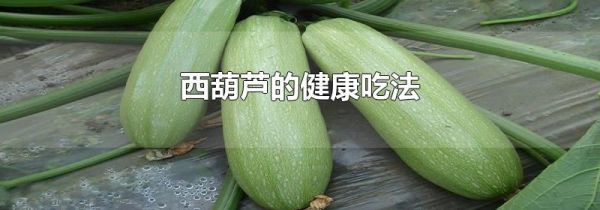 西葫芦的健康吃法