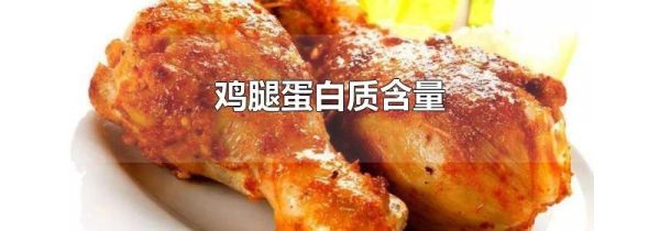 鸡腿蛋白质含量