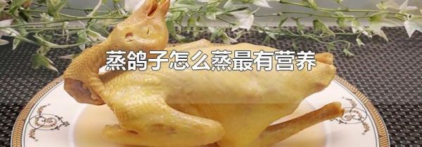 蒸鸽子怎么蒸最有营养