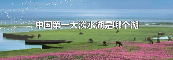 中国第一大淡水湖是哪个湖