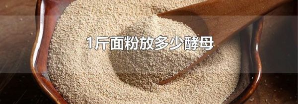 1斤面粉放多少酵母