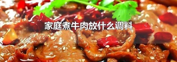 家庭煮牛肉放什么调料