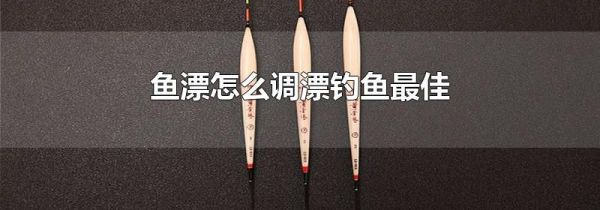 鱼漂怎么调漂钓鱼最佳
