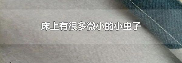 床上有很多微小的小虫子