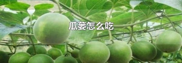 瓜蒌怎么吃