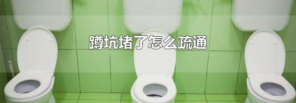 蹲坑堵了怎么疏通