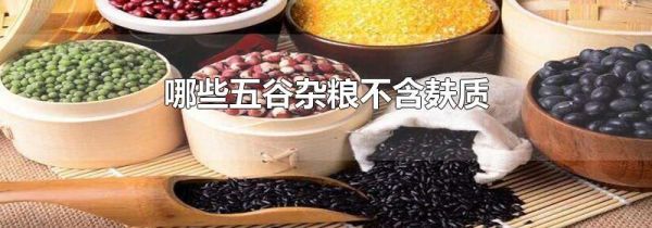 哪些五谷杂粮不含麸质