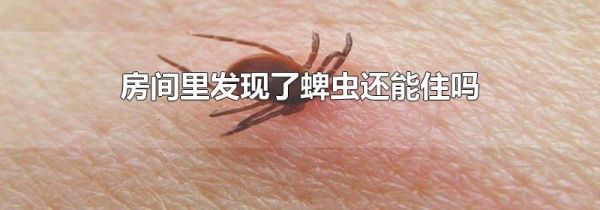 房间里发现了蜱虫还能住吗