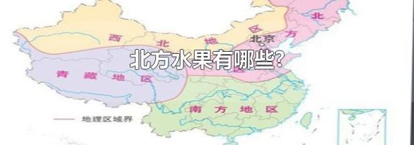 北方水果有哪些?