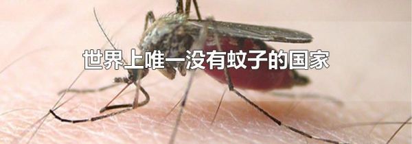 世界上唯一没有蚊子的国家