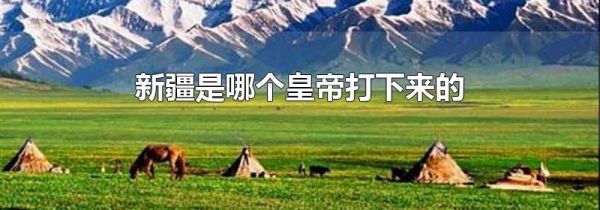 新疆是哪个皇帝打下来的