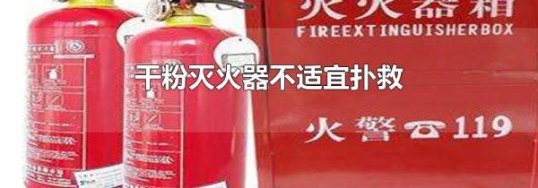 干粉灭火器不适宜扑救