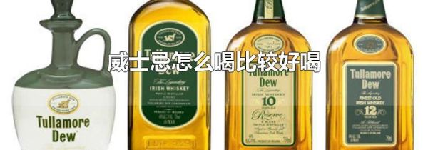 威士忌怎么喝比较好喝