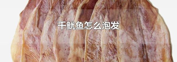 干鱿鱼怎么泡发