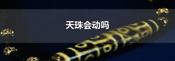 天珠会动吗