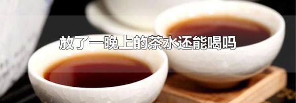 放了一晚上的茶水还能喝吗