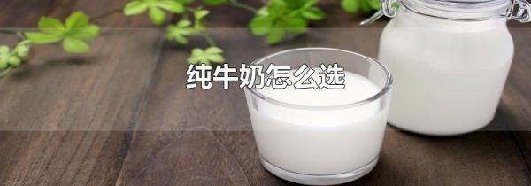 纯牛奶怎么选