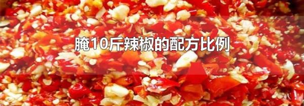 腌10斤辣椒的配方比例