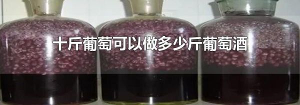 十斤葡萄可以做多少斤葡萄酒
