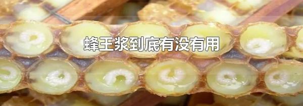 蜂王浆到底有没有用