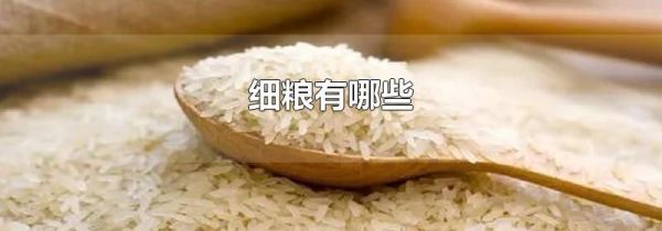 细粮有哪些