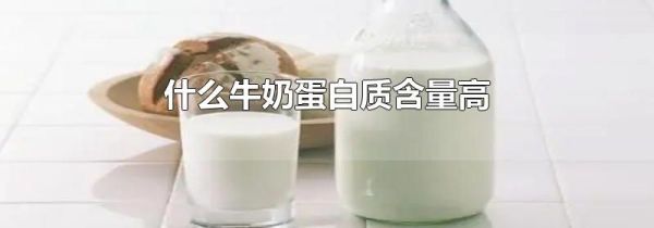 什么牛奶蛋白质含量高