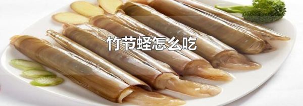 竹节蛏怎么吃
