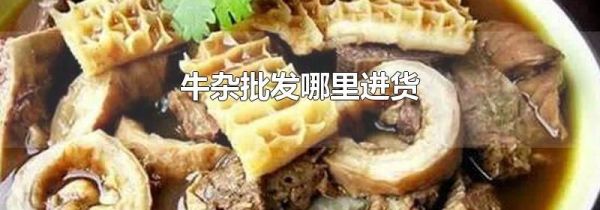 牛杂批发哪里进货