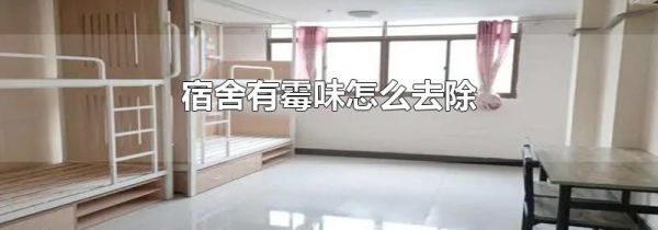 宿舍有霉味怎么去除