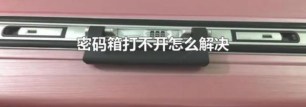 密码箱打不开怎么解决