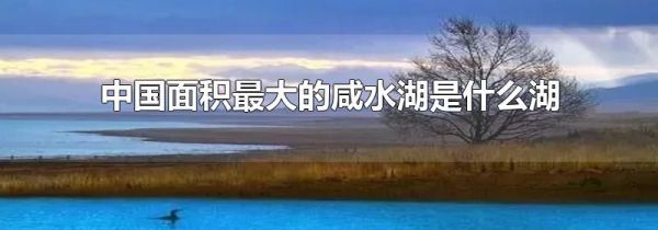 中国面积最大的咸水湖是什么湖