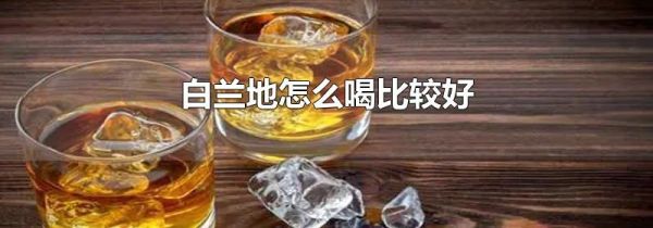 白兰地怎么喝比较好
