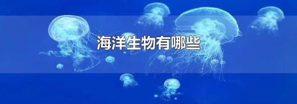 海洋生物有哪些