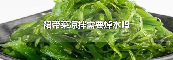 裙带菜凉拌需要焯水吗