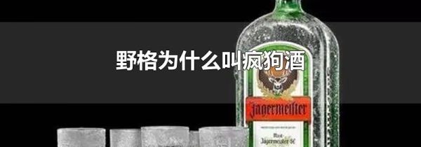 野格为什么叫疯狗酒