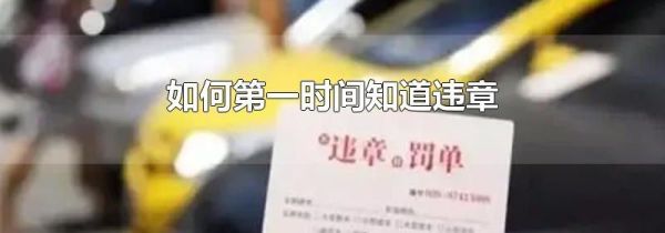 如何第一时间知道违章