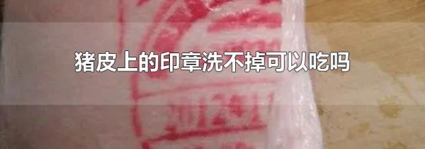 猪皮上的印章洗不掉可以吃吗