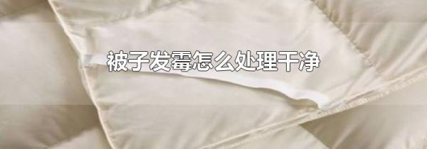 被子发霉怎么处理干净