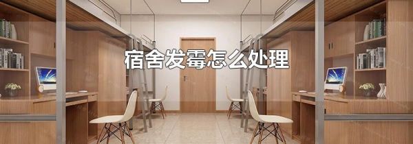 宿舍发霉怎么处理