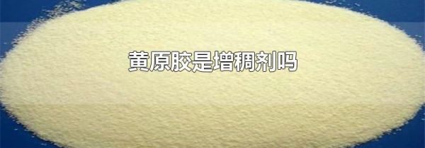 黄原胶是增稠剂吗