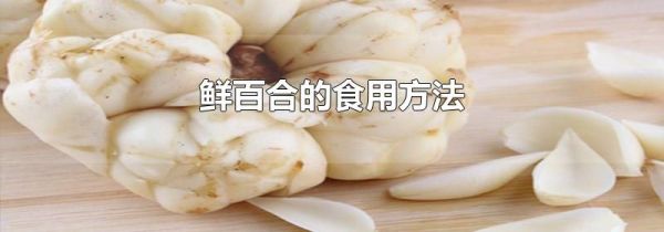 鲜百合的食用方法